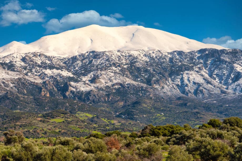 Ψηλορείτης