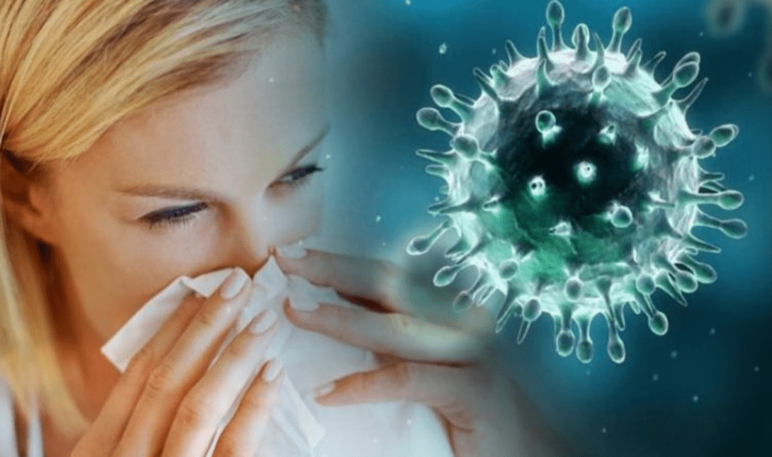 γρίπη-ιός