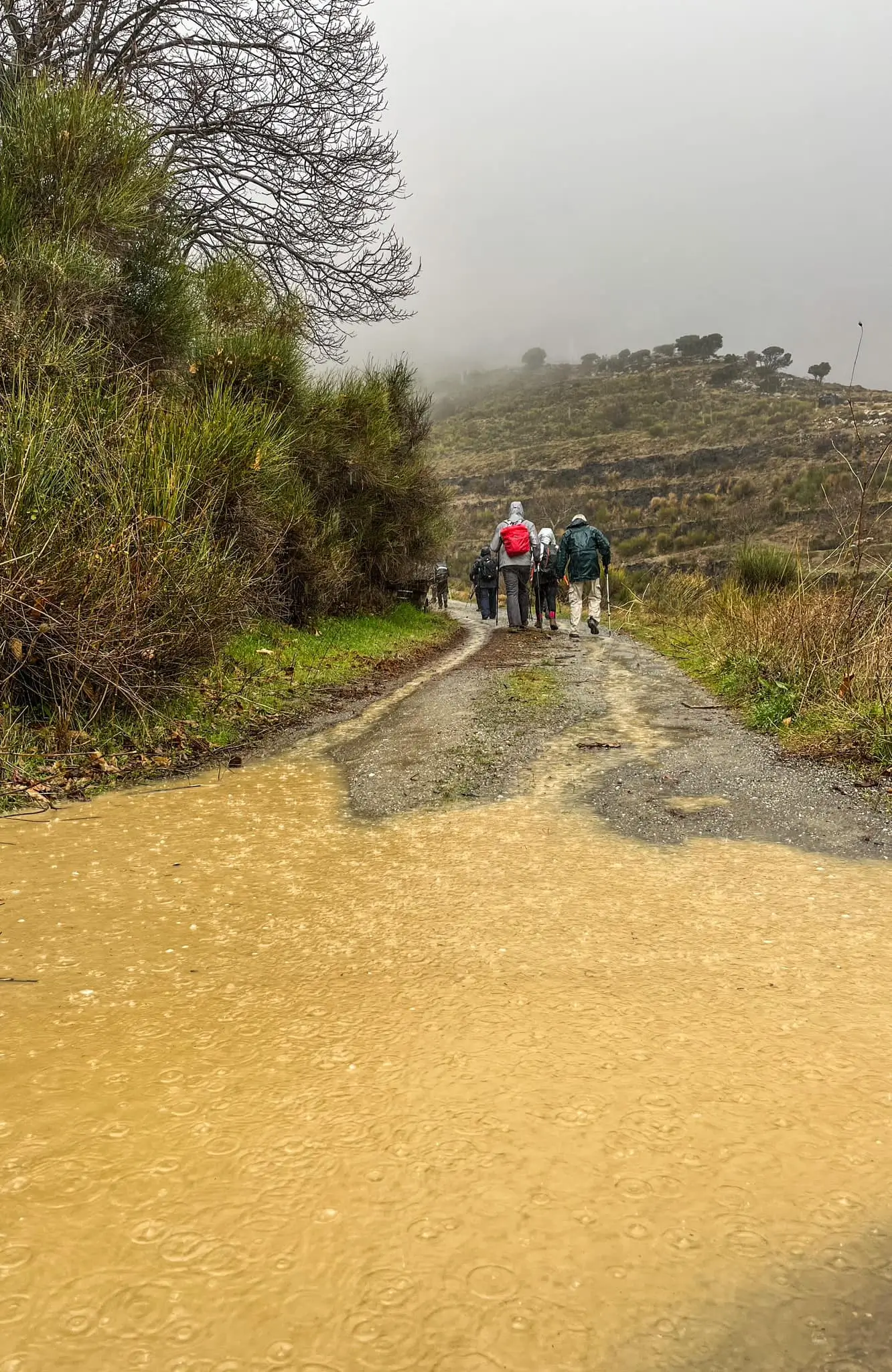 Ορειβατικός Σύλλογος Αγίου Νικολάου