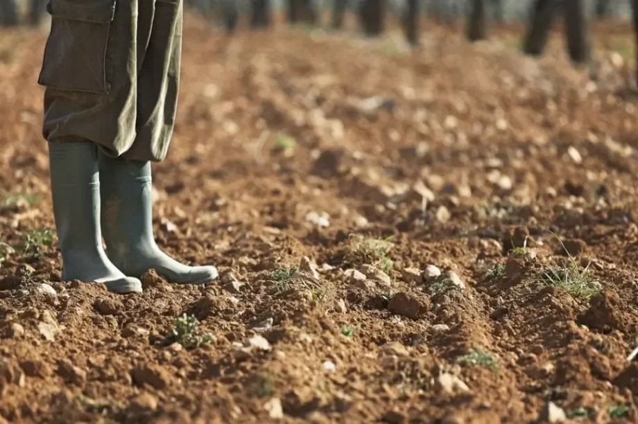 Αγρότης χωράφι