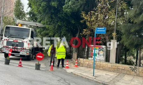 Ηράκλειο δέντρα