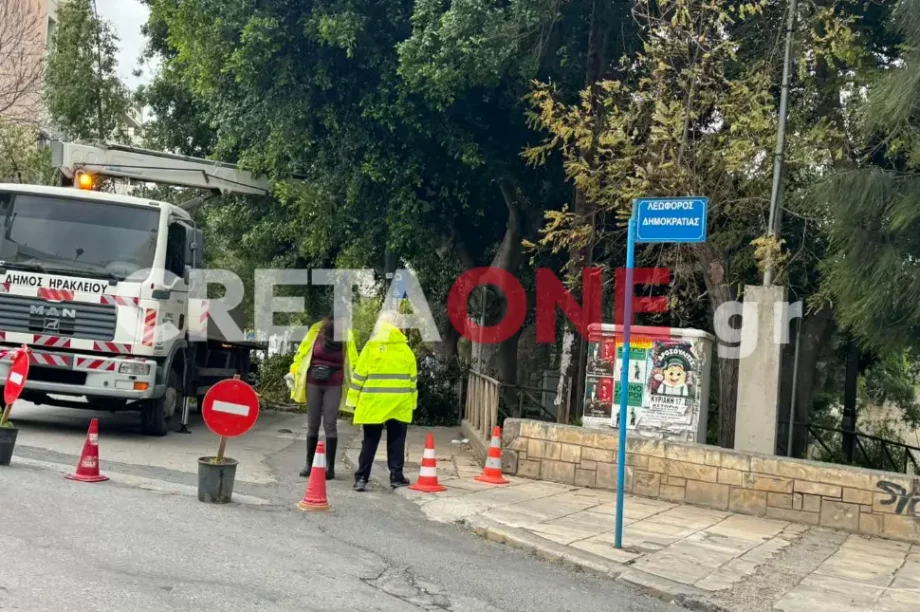 Ηράκλειο δέντρα