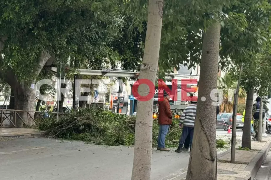 Ηράκλειο δέντρα
