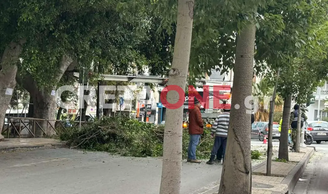Ηράκλειο δέντρα