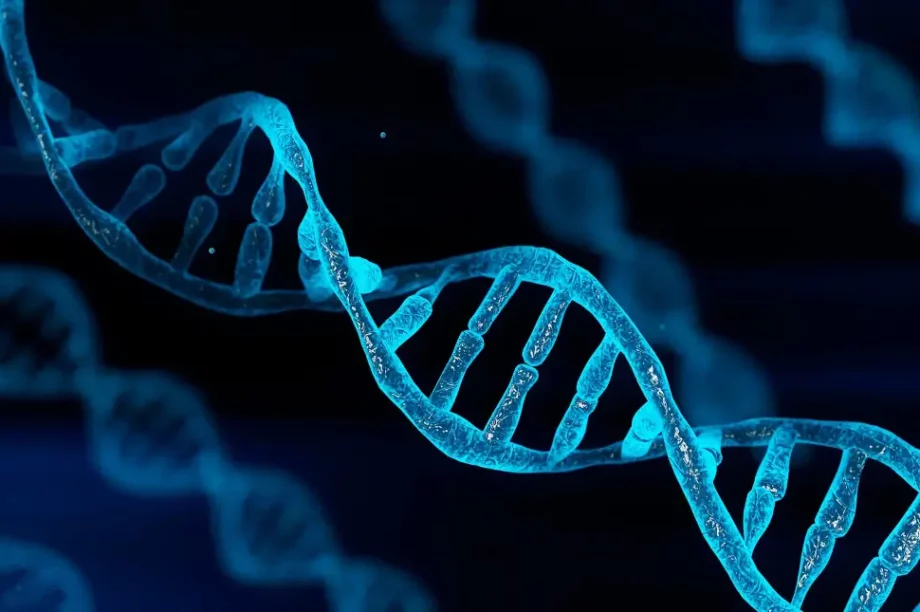DNA γενετικό υλικό έλικας