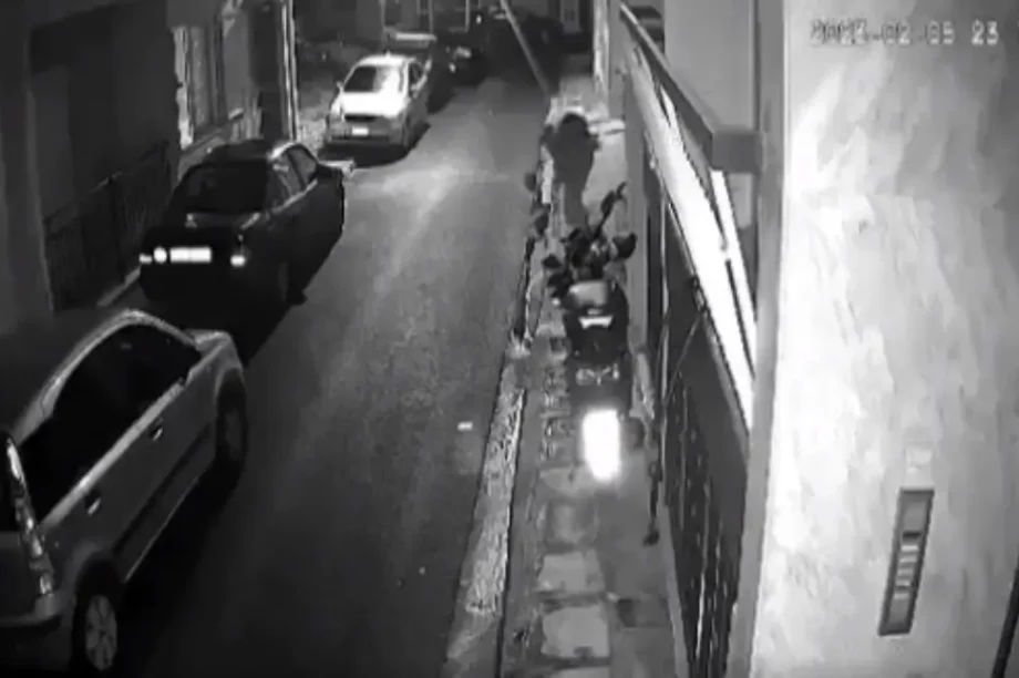 δολοφονία γάτες 33χρονος
