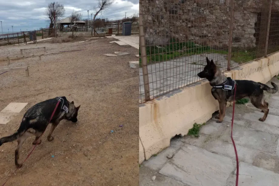 εκα σκύλος
