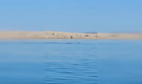 Φώκιες Ηράκλειο