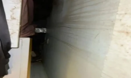 Γέρακας σύλληψη φυγόποινη