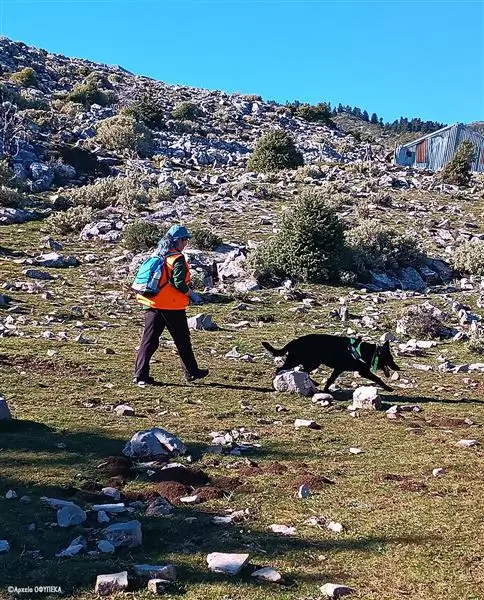 νεκροί γύπες στα Όρη Βάλτου
