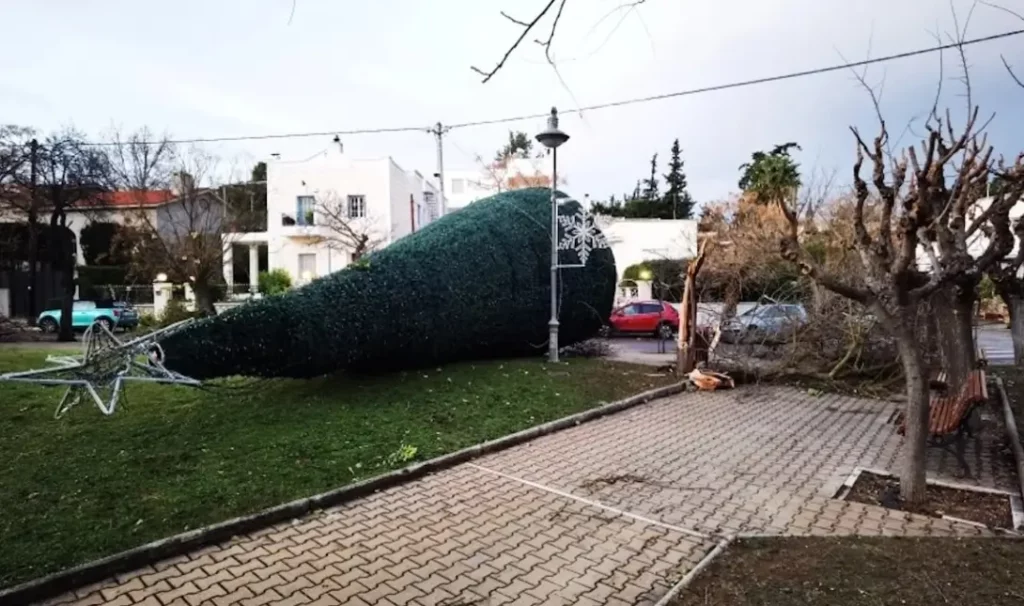 Πεσμένο δέντρο κακοκαιρία