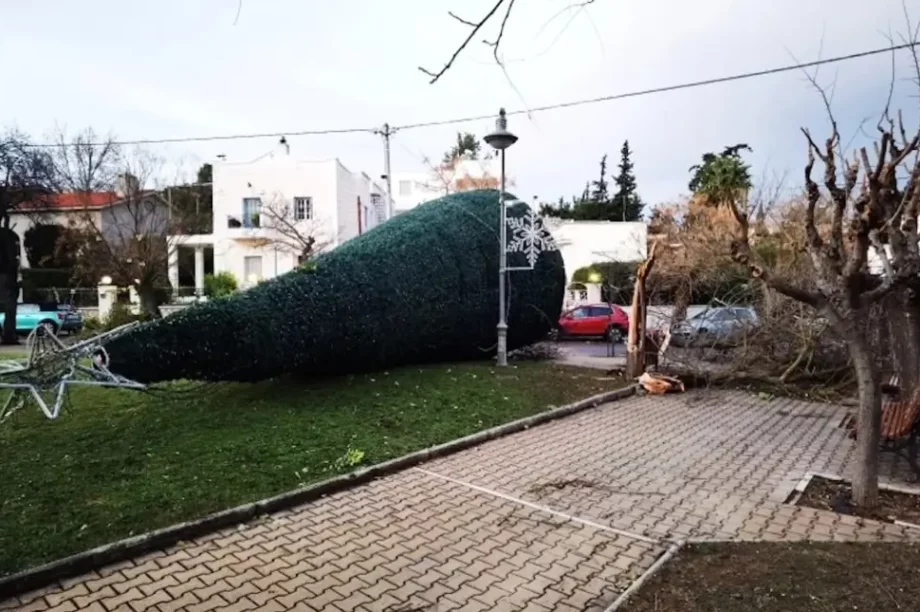 Πεσμένο δέντρο κακοκαιρία