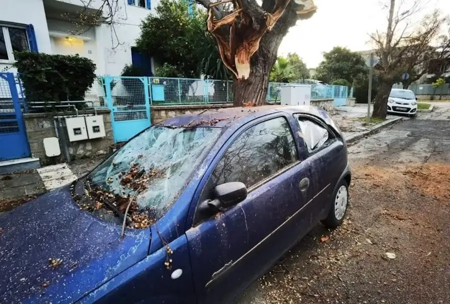 Πεσμένο δέντρο κακοκαιρία