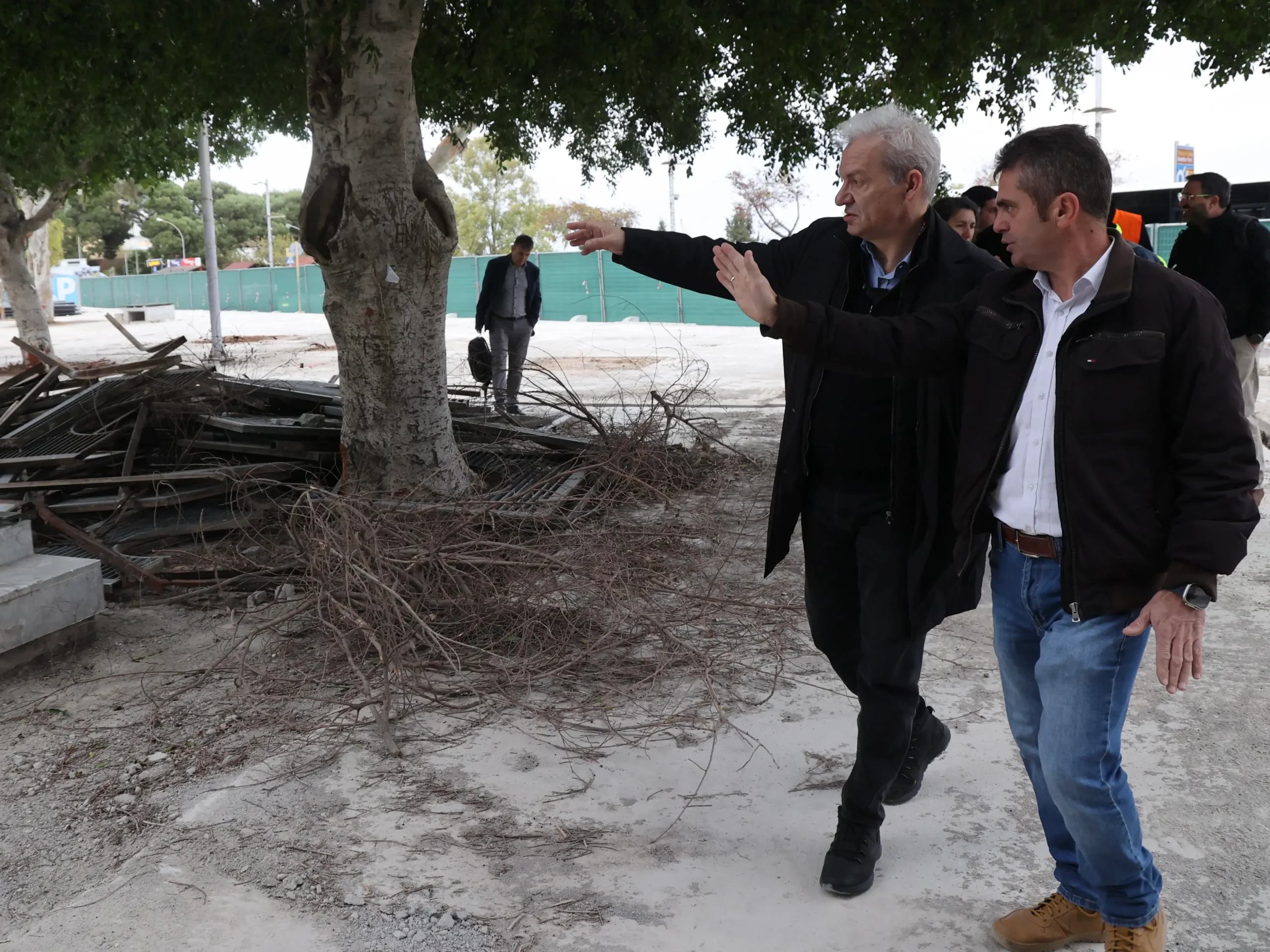 Αλέξης Καλοκαιρινός