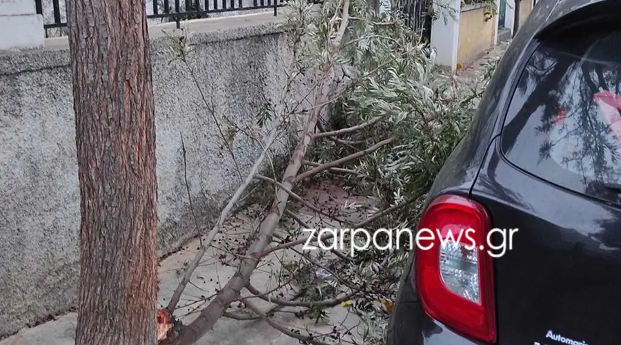 κλαδί πεζοδρόμο Χανιά 