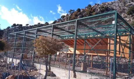 Ξεκίνησε η λειτουργία του κλωβού προσαρμογής και ενδυνάμωσης γυπών