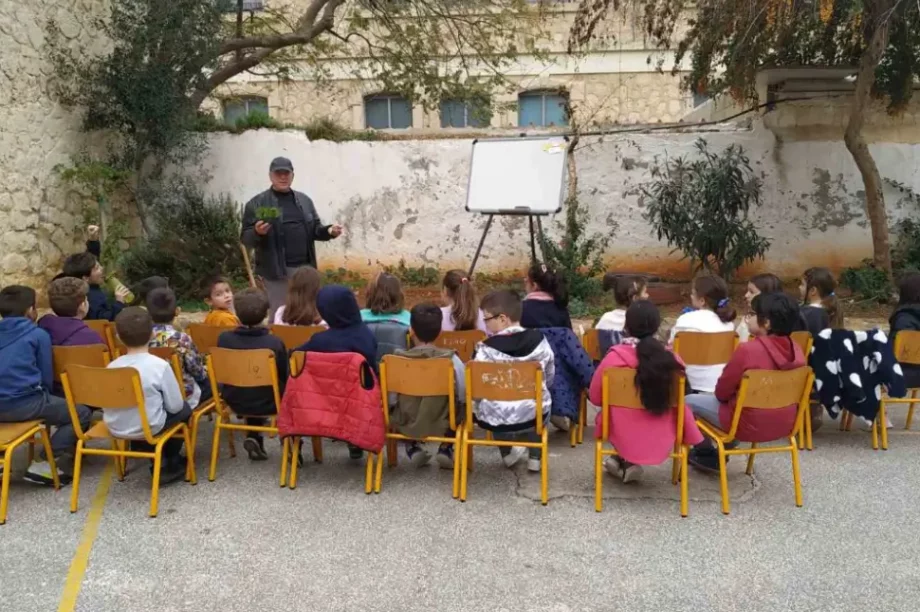 3ο δημοτικό Χανίων λαχανικά