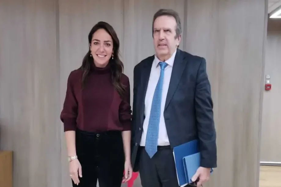 Δόμνα Μιχαηλίδου κατώτατος μισθός