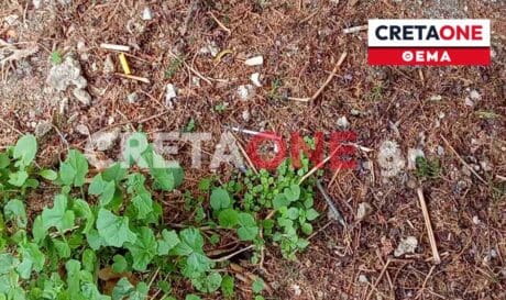 ναρκωτικά ηρωίνη τοξικομανείς