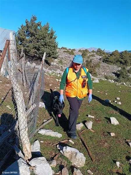 νεκροί γύπες στα Όρη Βάλτου