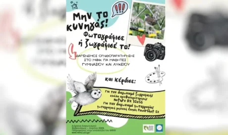 Αφίσα Διαγωνισμός Ορνιθοπαρατήρησης