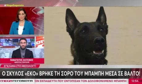 Σκύλος Μεσολόγγι