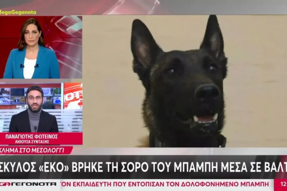 Σκύλος Μεσολόγγι