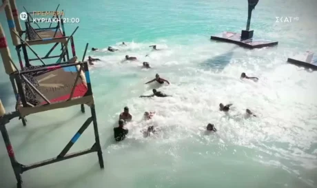 survivor