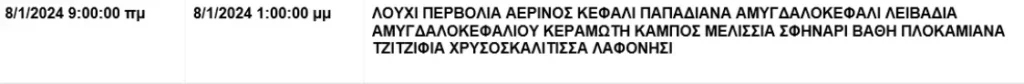 Χανια διακοπές ρευματος