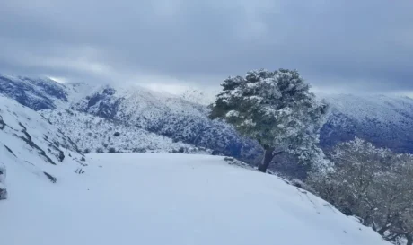 Χανιά χιόνι καταφύγιο Καλλέργη