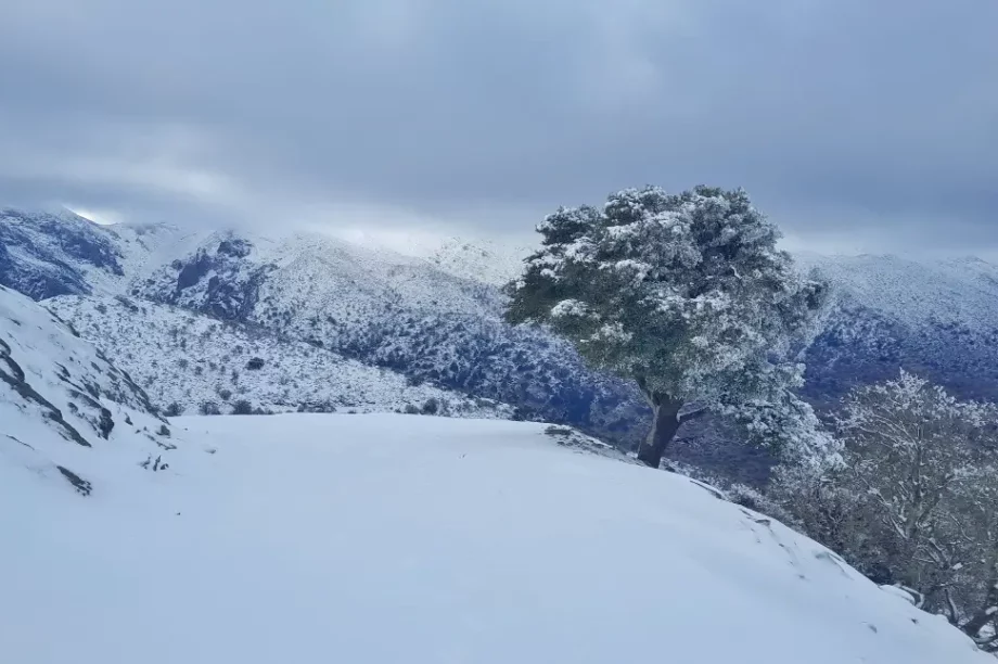 Χανιά χιόνι καταφύγιο Καλλέργη
