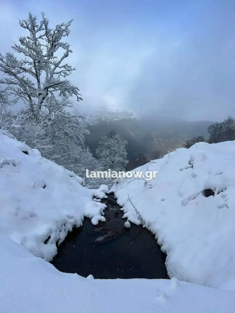 Χιονισμένο τοπίο