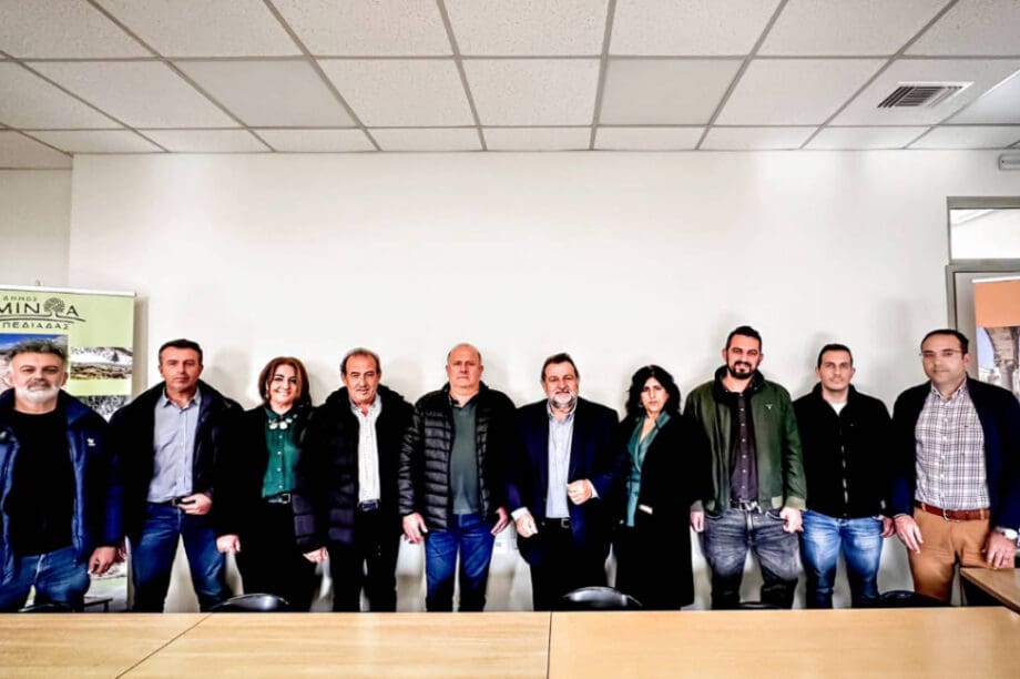 δήμος Μινώα Πεδιάδας