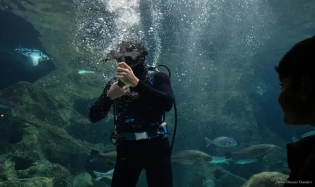 cretaquarium ενυδρειο Κρήτης