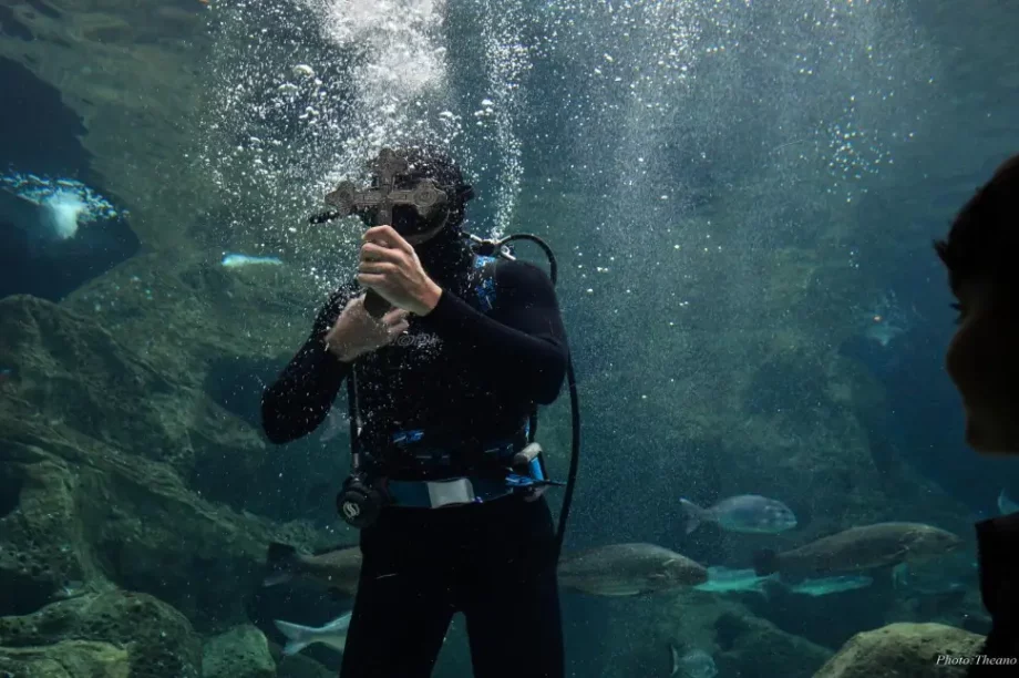 cretaquarium ενυδρειο Κρήτης