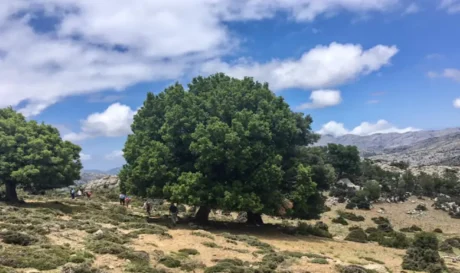 Ορειβατικός Σύλλογος Αγίου Νικολάου