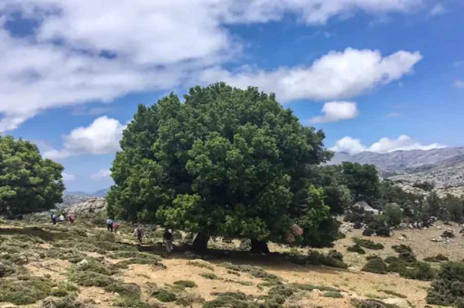 Ορειβατικός Σύλλογος Αγίου Νικολάου