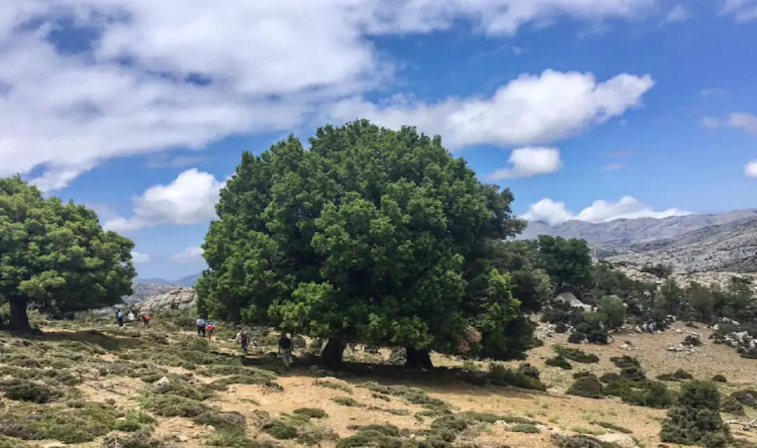 Ορειβατικός Σύλλογος Αγίου Νικολάου