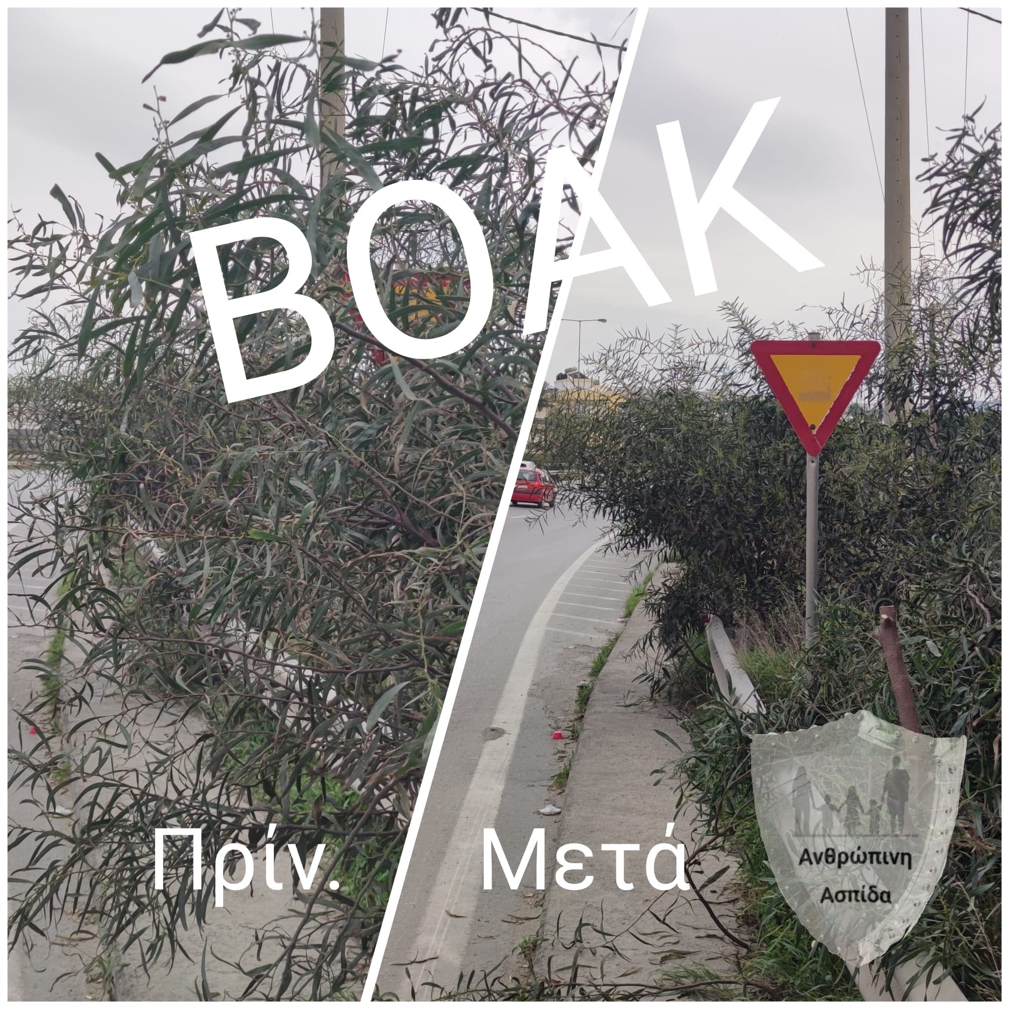 πινακίδες Ανθρώπινη Ασπίδα