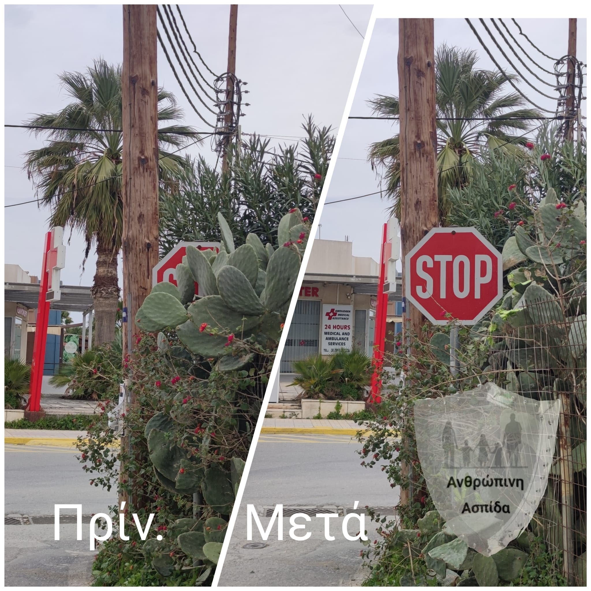 πινακίδες Ανθρώπινη Ασπίδα