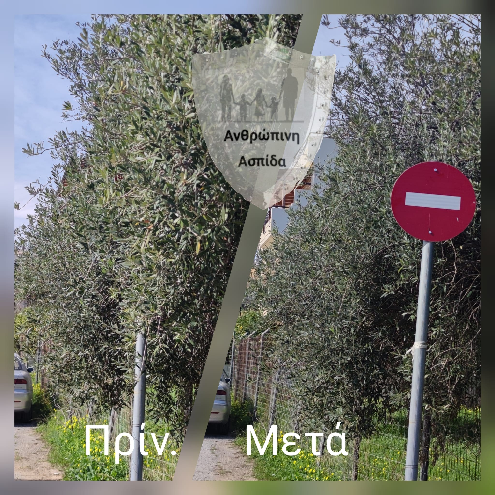 πινακίδες Ανθρώπινη Ασπίδα