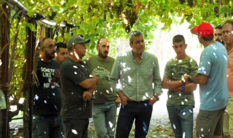 Χάρης Μαμουλάκης