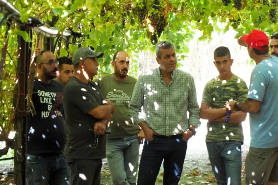 Χάρης Μαμουλάκης