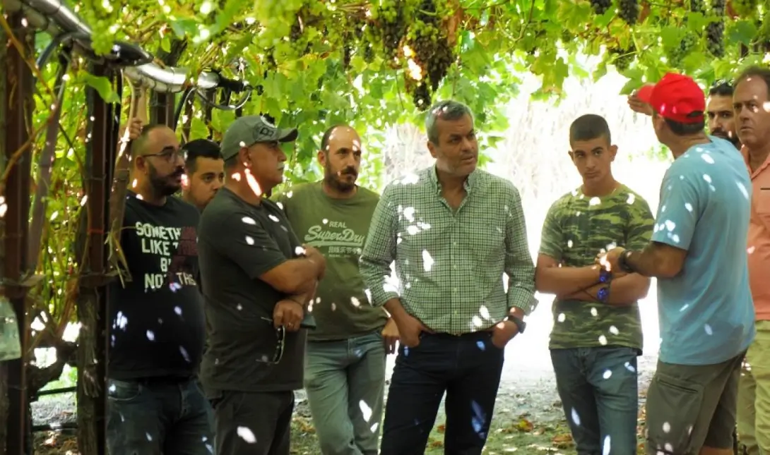 Χάρης Μαμουλάκης
