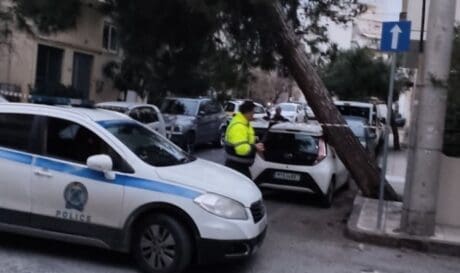 Ηράκλειο: Παρέμβαση απομάκρυνσης δέντρου που είχε πάρει επικίνδυνη κλίση