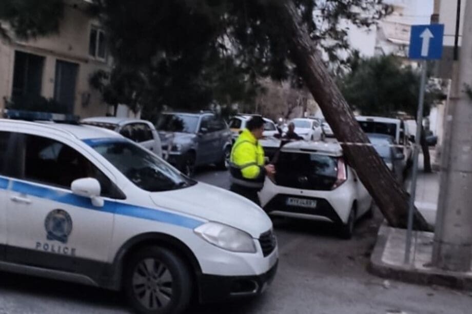 Ηράκλειο: Παρέμβαση απομάκρυνσης δέντρου που είχε πάρει επικίνδυνη κλίση