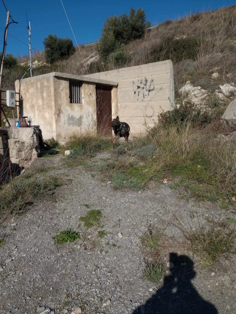 Σητεία δολώματα