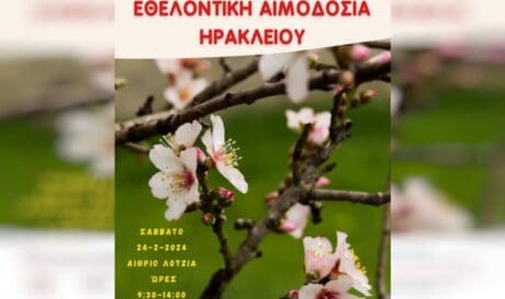 εθελοντική αιμοδοσία