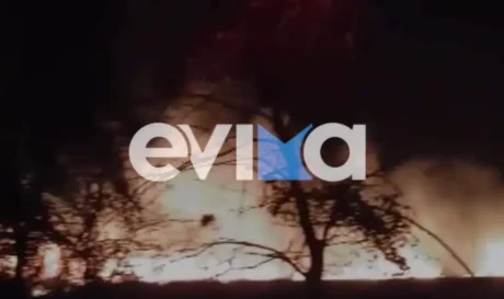 φωτιά Εύβοια