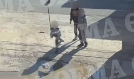 γλάρος κακοποίηση